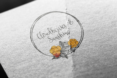 Cloudberries and Sunshine. Logo for a food blogger/photographer.